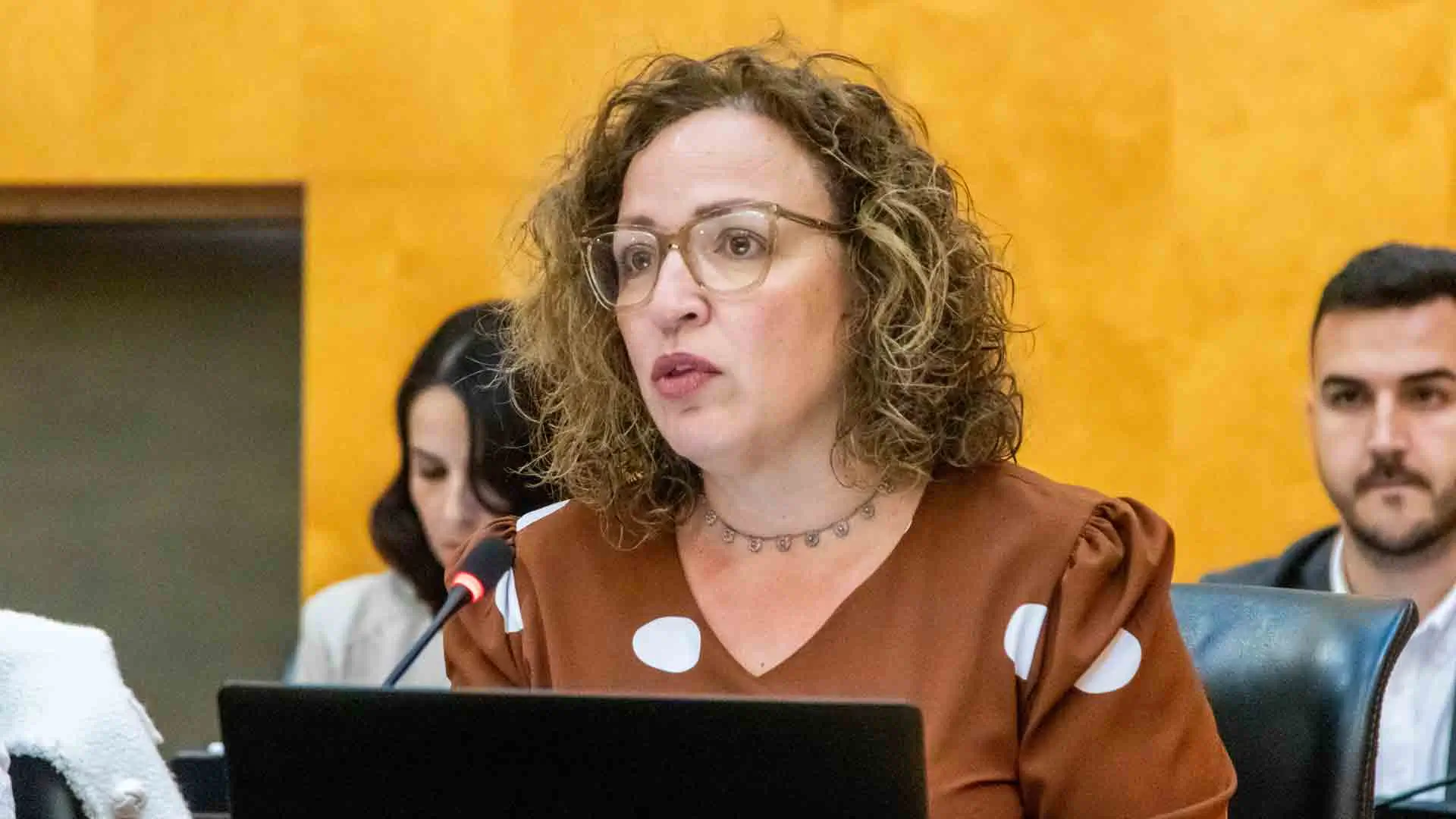 Caselles: “El PSOE quiere generar dudas sobre el acuerdo de Serra Gelada porque ha fiado su futuro político a este asunto” Caselles: “El PSOE quiere generar dudas sobre el acuerdo de Serra Gelada porque ha fiado su futuro político a este asunto”